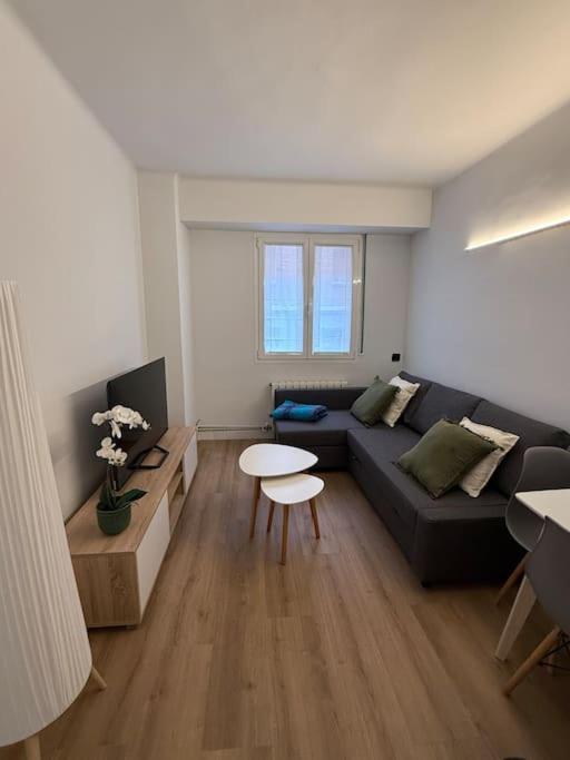 Vivienda Renovada Y Centrica * Bilbao